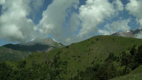 Green alpine valley with flowers. Snow capped mountains peaks and clouds Stock Footage 115964053