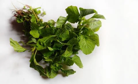 Green amaranth Stock Photos