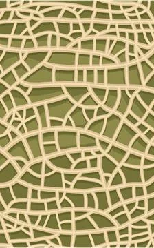 A green and beige background with a pattern of Melon fruit skin texture Aestheti Stock Illustration