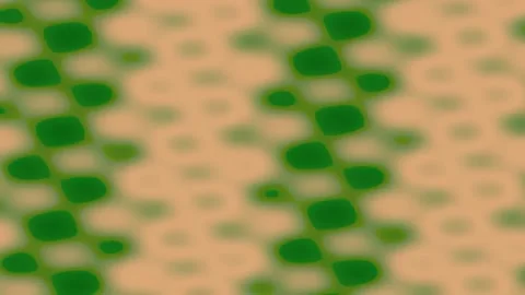 Green and Beige Pattern Background, Digital Art 스톡 동영상 341851460