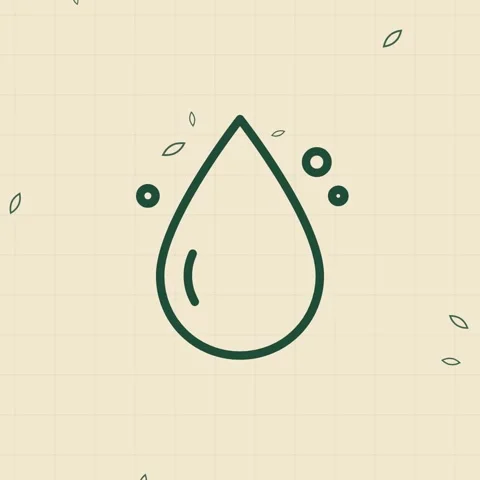 Green and beige water drop line art outline animation Stock Footage 346184319