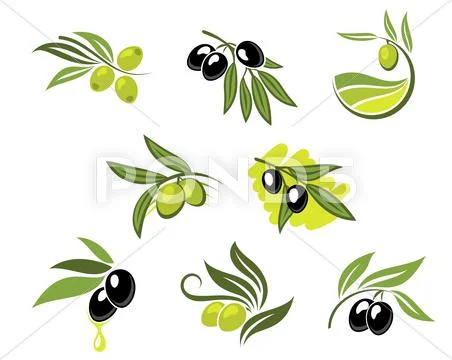 Green and black olives set Stock Illustration