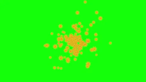 Green and Black Screen and Snow on Green Screen Background Horizontal 16:9 Stock Footage 339444624