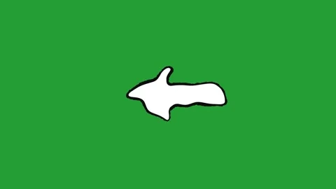 Green and black striped flag with white arrows pointing left during daylight Stock Footage 340940873