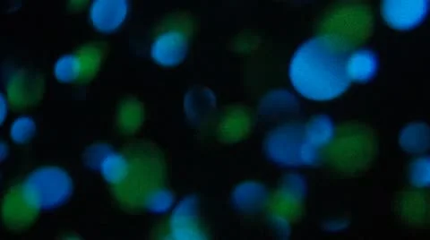 Green and Blue Dots Stock-Footage 11692972