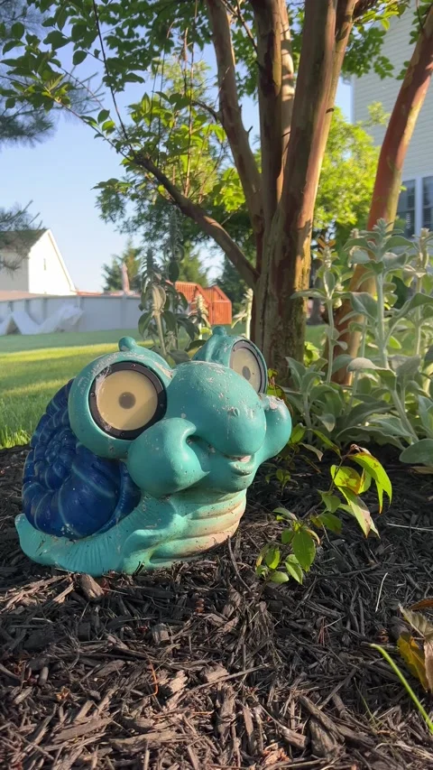 Green and blue Frog statue sitting in molt next to a tree Stock Footage 196117841