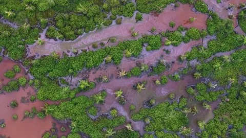A green and brown area with a red color Видео 325790841