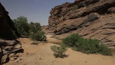 Green and brown contrast at desert 스톡 동영상 152311953