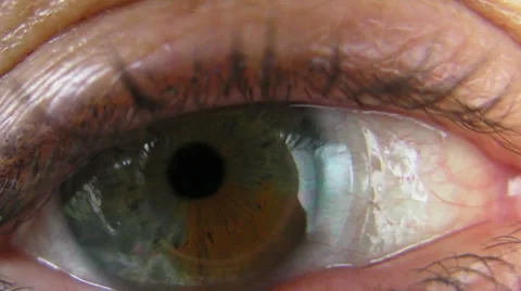 Green and Brown Eye Stock Footage 31848490