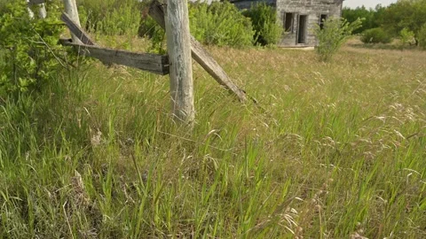 Green and dry grass blowing in the wind with a weathered wooden fence post  Stock Footage 155024018