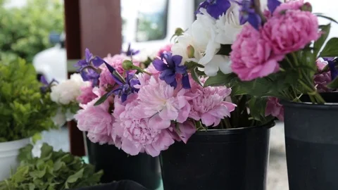 Green and flowers Video stock 105420563