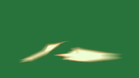 Green and Gold Bird and Screen on Green Screen Stock Footage 338043644