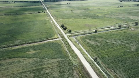 Green and gold fields aerial drone view sunset Stock Footage 167763252