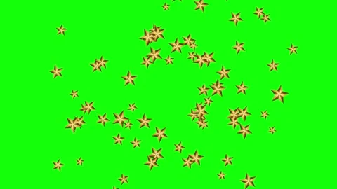 Green and Gold Fish and Lion and Star and Screen Green Screen Video stock 339330876