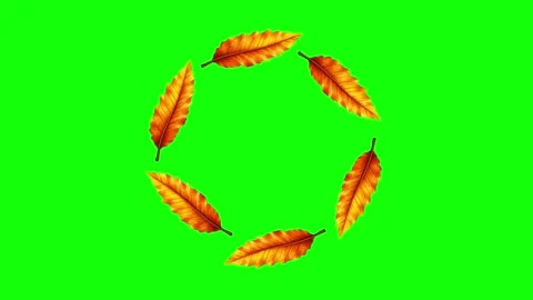 Green and Gold Leaf and Screen on Green Screen Background Horizontal 16:9 Stock Footage 339443577