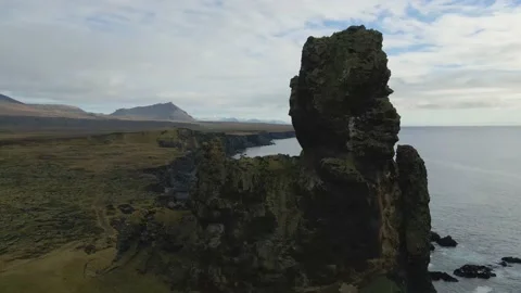 Green and high cliffs by the sea in a volcanic area in Iceland. Vidéo 225862907