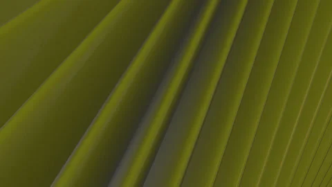 Green and leaf stripes texture Stock Footage 242525526