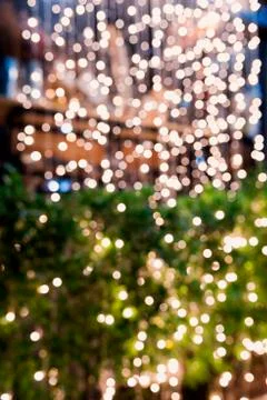 Green and light Bokea Stock Photos