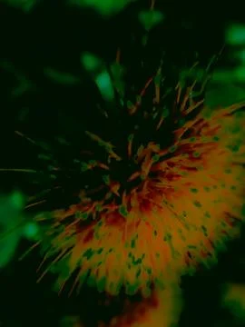 Green and orange dramatic abstract floral macro texture Stock Photos