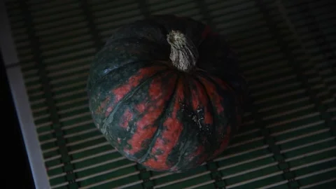 Green and orange pumpkin on table Stock Footage 259367904