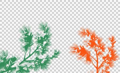 Green and orange tree branch shadows isolated on white background . Иллюстрация