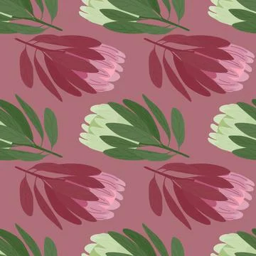 Green and pink colored protea doodle flowers seamless pattern. Pale purple ba Illustrazione stock