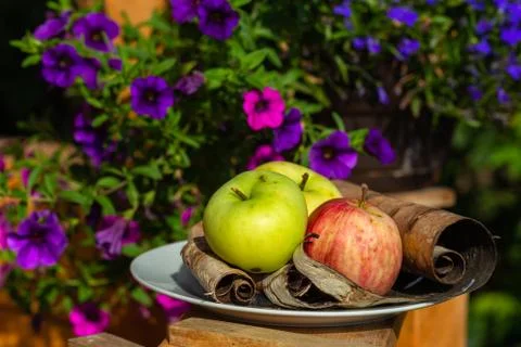 Green and red apples Stock Photos