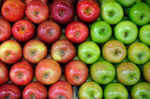 Green and red apples Stock Photos