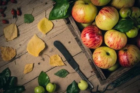 Green and red apples on rustic  table. toned photo Stock Photos