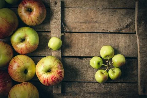 Green and red apples on rustic  table. toned photo. Foto stock