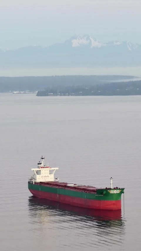 Green and red bulk cargo ship rests calm on still waters near Seattle Stock Footage 340968995