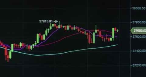 Green and red chart shows currency rate rising and falling Stock-Footage 157098202