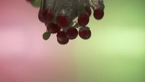 Green and red grapes fall into the water in slow motion. on a colored backgr Stock Footage 131036793