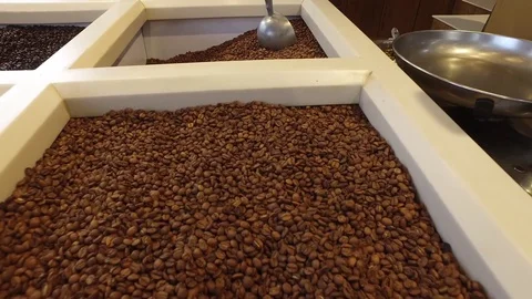 Green and roasted coffee. Sale Stock Footage