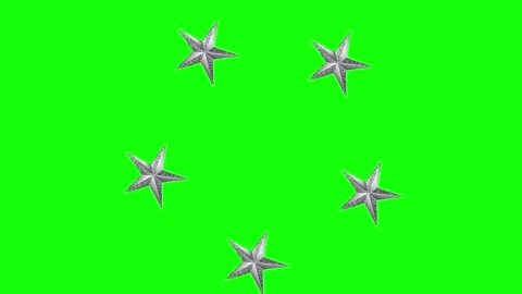 Green and Silver Bird and Star and Screen Green Screen Stock Footage 339444058