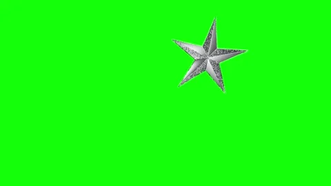 Green and Silver Bird and Star and Screen Green Screen Stock Footage 339444059