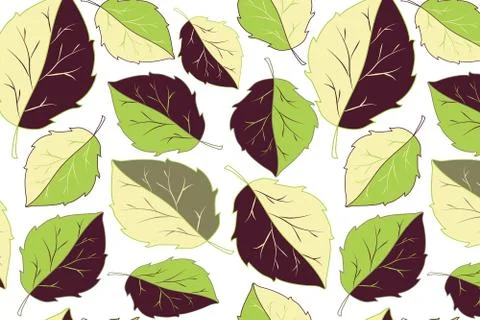 Green and violet basil leaves for print design Illustrazione stock
