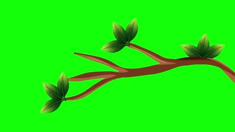 Green and White Bird and Screen on Green Screen Background Horizontal 16:9 Vidéo 339348538