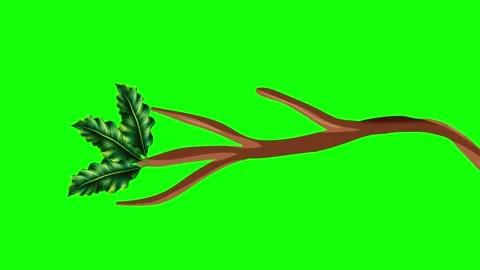Green and White Bird and Screen on Green Screen Background Horizontal 16:9 Stock Footage 339348664