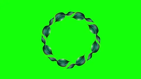 Green and White Bird and Circle and Screen Green Screen Stock Footage 339443544