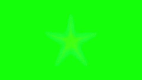 Green and White Fish and Star and Screen Green Screen Vidéo 339332717