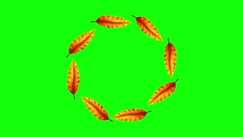 Green and White Fish and Circle and Screen and Water Green Screen Video stock 339443620