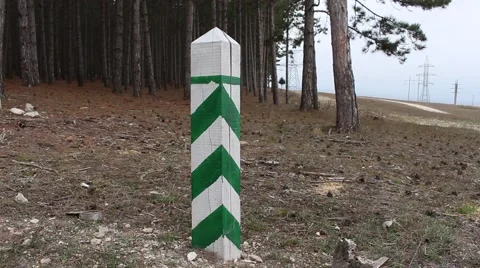 Green and white forestry post. Forest protection. Stock Footage 44470593