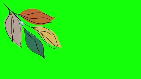 Green and White Leaf and Screen on Green Screen Background Horizontal 16:9 Stock Footage 339328374