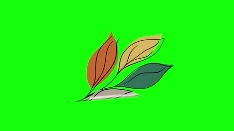 Green and White Leaf and Screen on Green Screen Background Horizontal 16:9 Stock Footage 339328390