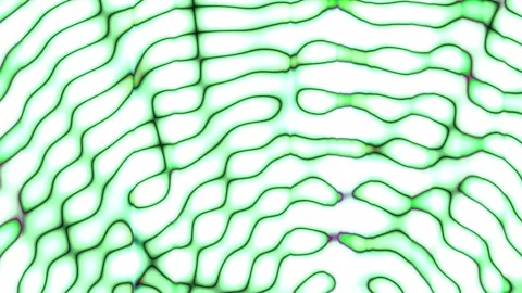 Green and White Liquid Animation 4K 스톡 동영상 326587247