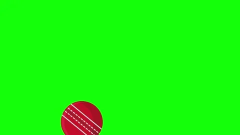 Green and White Man and Screen on Green Screen Background Horizontal 16:9 Vidéo 339334068