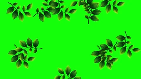 Green and White Man and Screen on Green Screen Background Horizontal 16:9 Video stock 339348531
