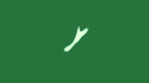 Green and White Screen on Green Screen Background Видео 338043839