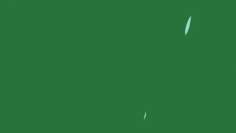Green and White Screen on Green Screen Background 스톡 동영상 338043843